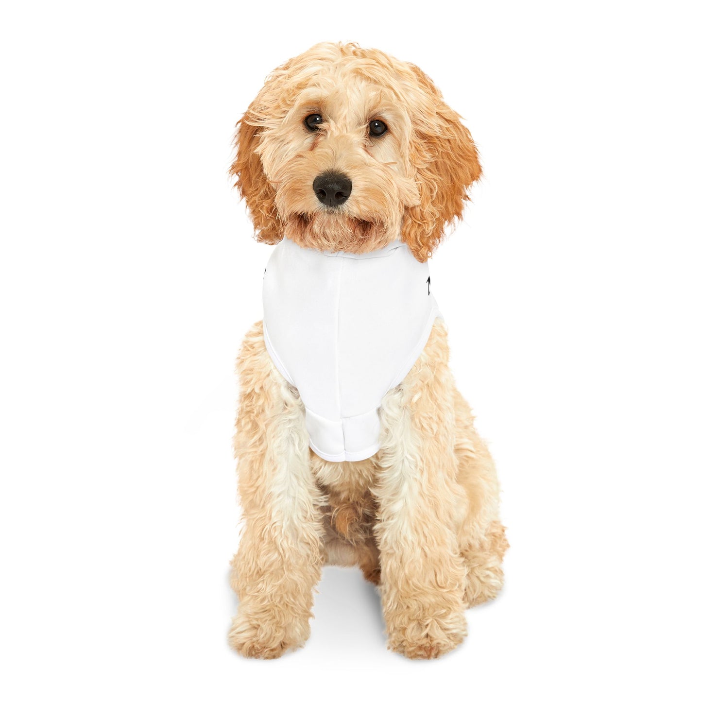Milfs Or Muerte Pet Hoodie